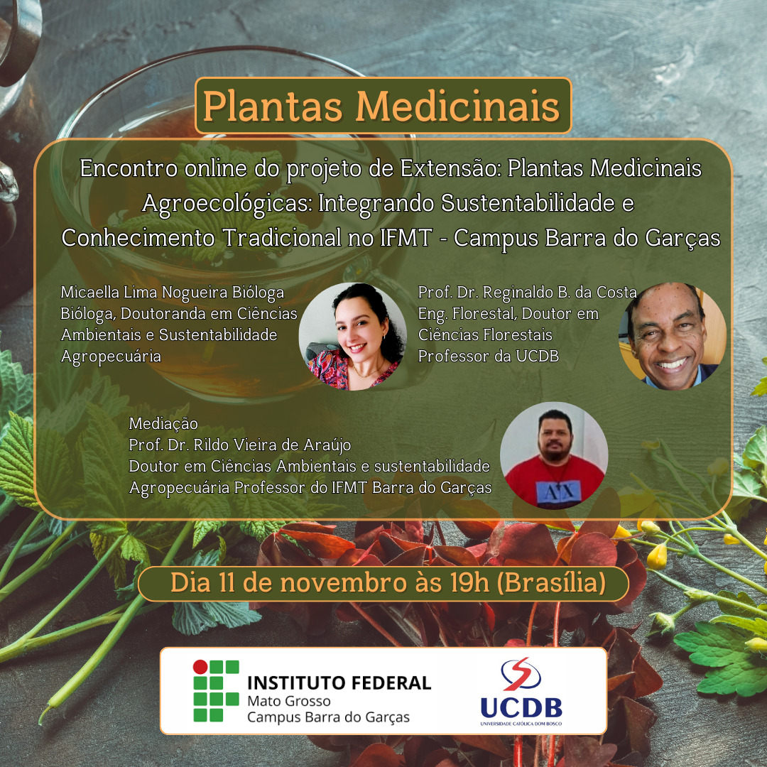 Plantas Medicinais Agroecológicas: Integrando Sustentabilidade e Conhecimento Tradicional